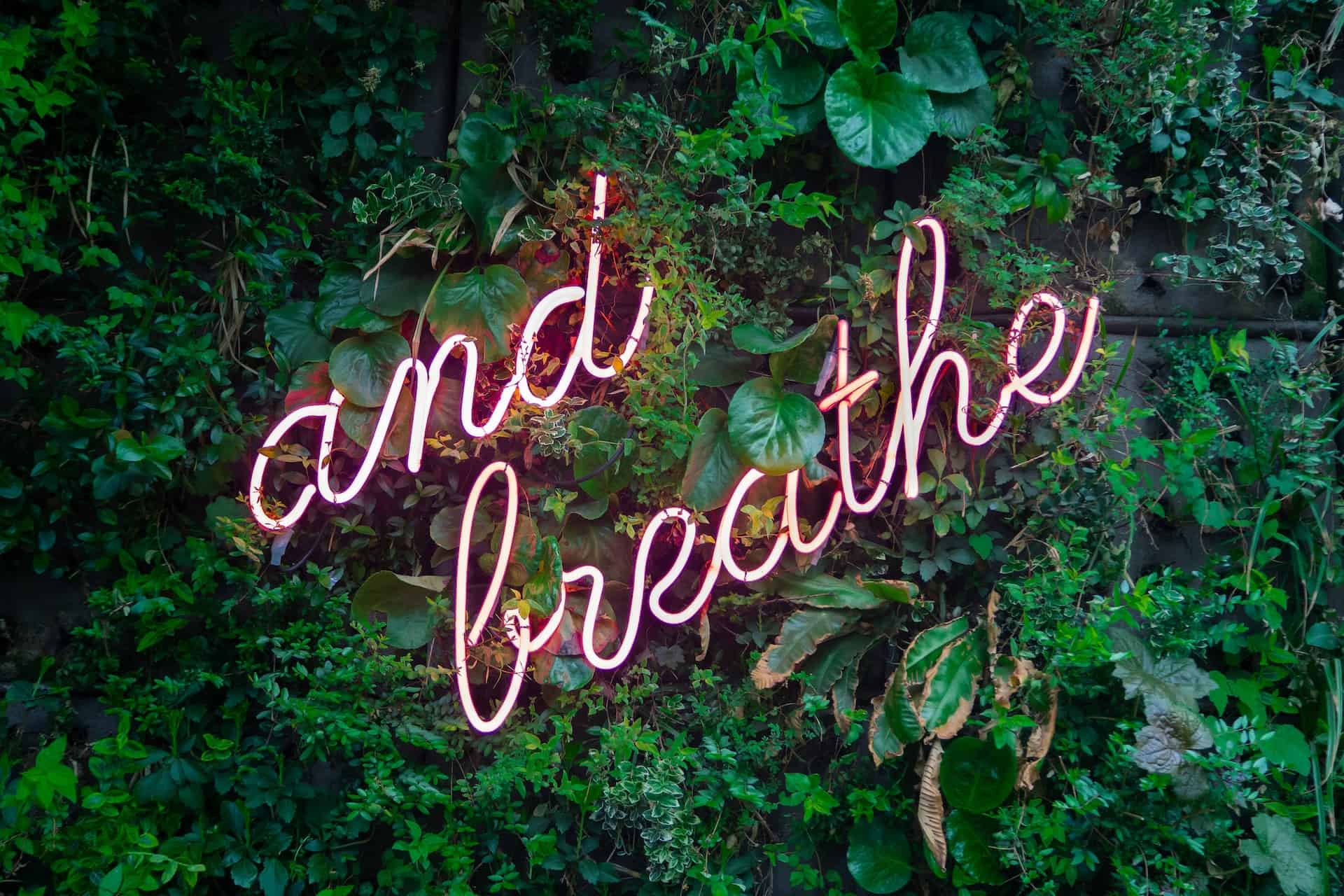 Ćwiczenia oddechowe – dlaczego są tak istotne w codziennym funkcjonowaniu?